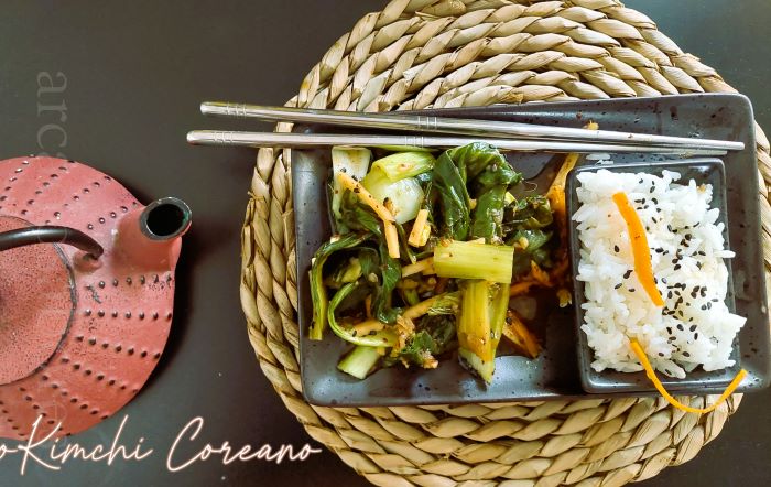 Kimchi coreano fácil - reeita em 30 minutos