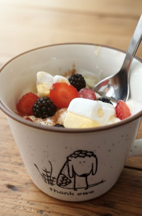 Bolo de Caneca Rápido de Aveia e Cacau- Pronto em 3 Minutos e com Cobertura de Iogurte Grego